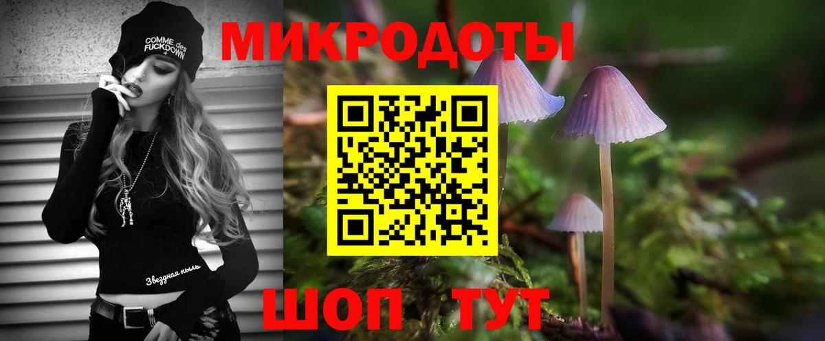 Галлюциногенные грибы Psilocybe Киров