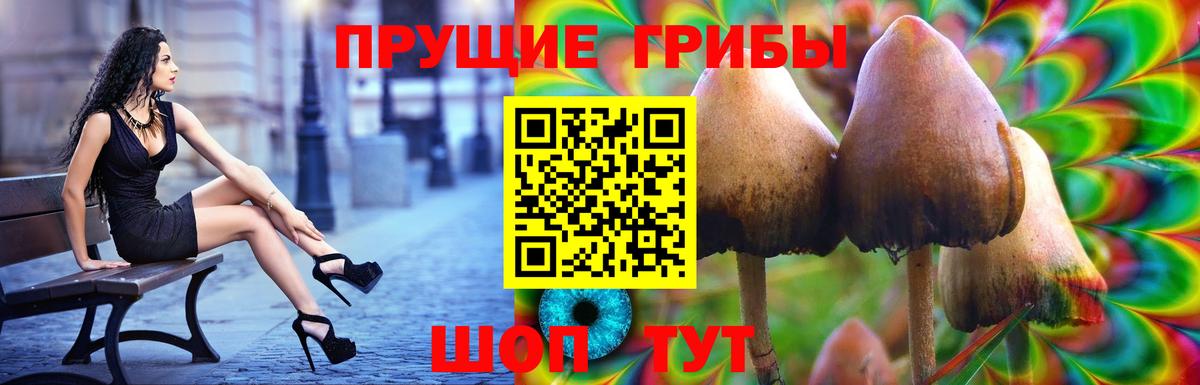 Киров  Галлюциногенные грибы прущие грибы  Вход с VPN  Галлюциногенные грибы прущие грибы 